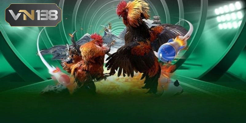 Đá Gà Cựa Dao VN138